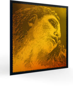 Evah Pirazzi Gold - Viola C - Wolfram